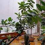 Hotel Pasarela